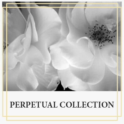 Perpetual-Collection